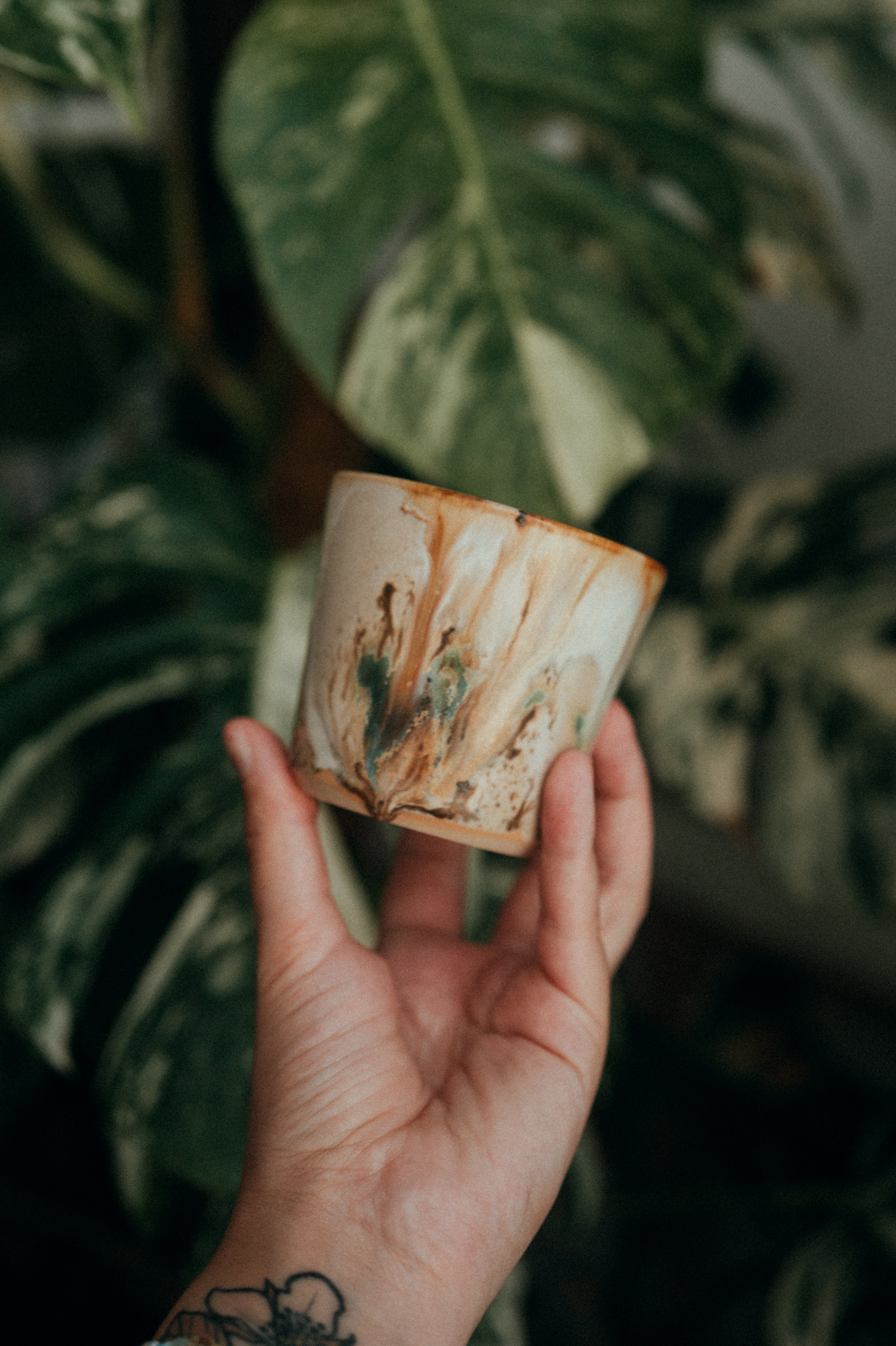 Drift Wood Cup small