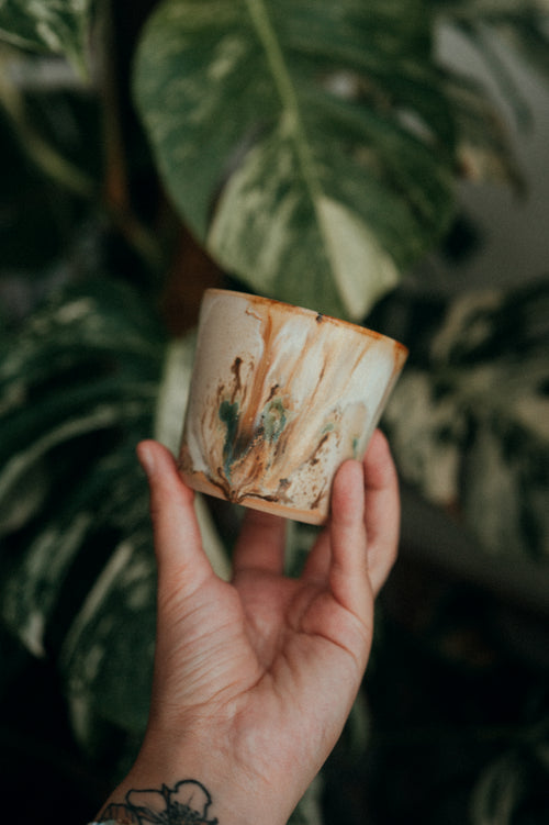 Drift Wood Cup small